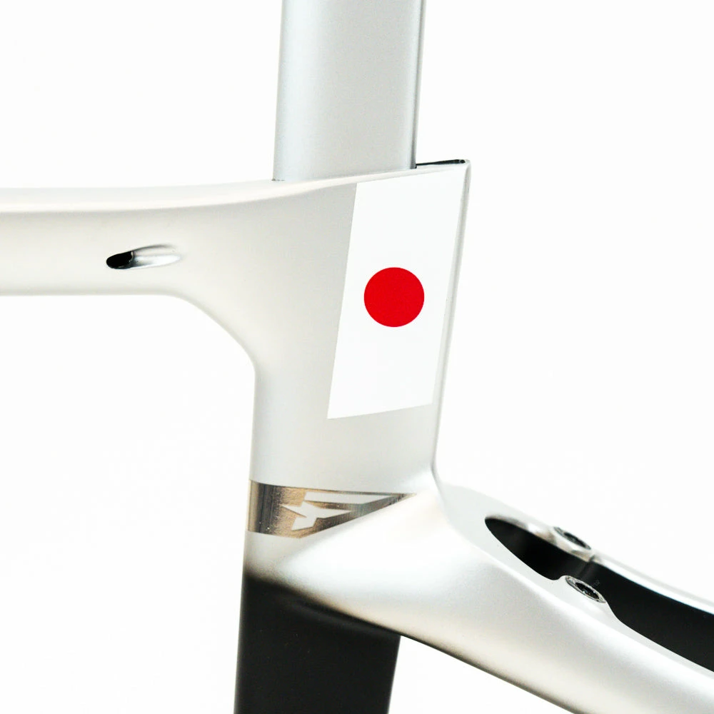 Pinarello Dogma F - 2020 Olympics Edition - Road Frameset - Richard Carapaz/Ecuador - Billede 4