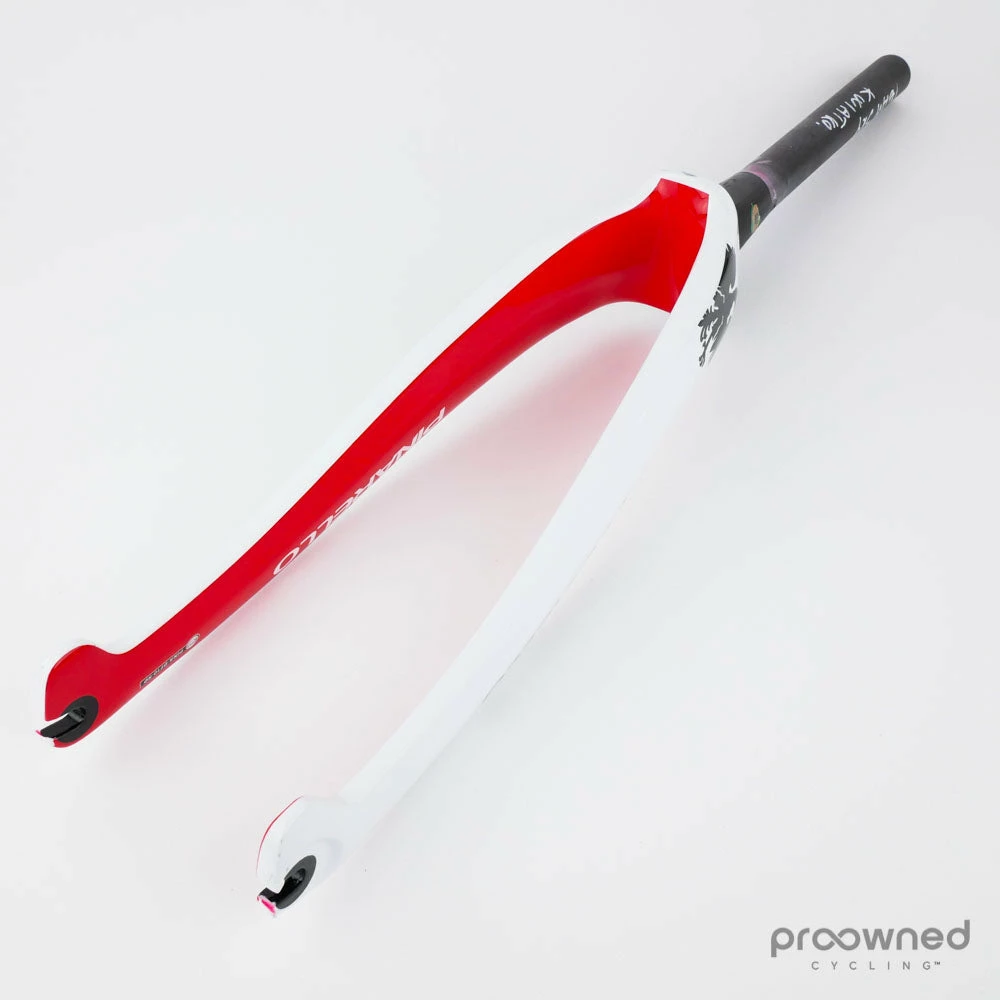 Pinarello F10 Spare Fork - Polish Champion - Billede 3